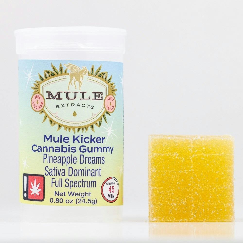 Mule Kicker 100mg Gummy Pineapple Dreams